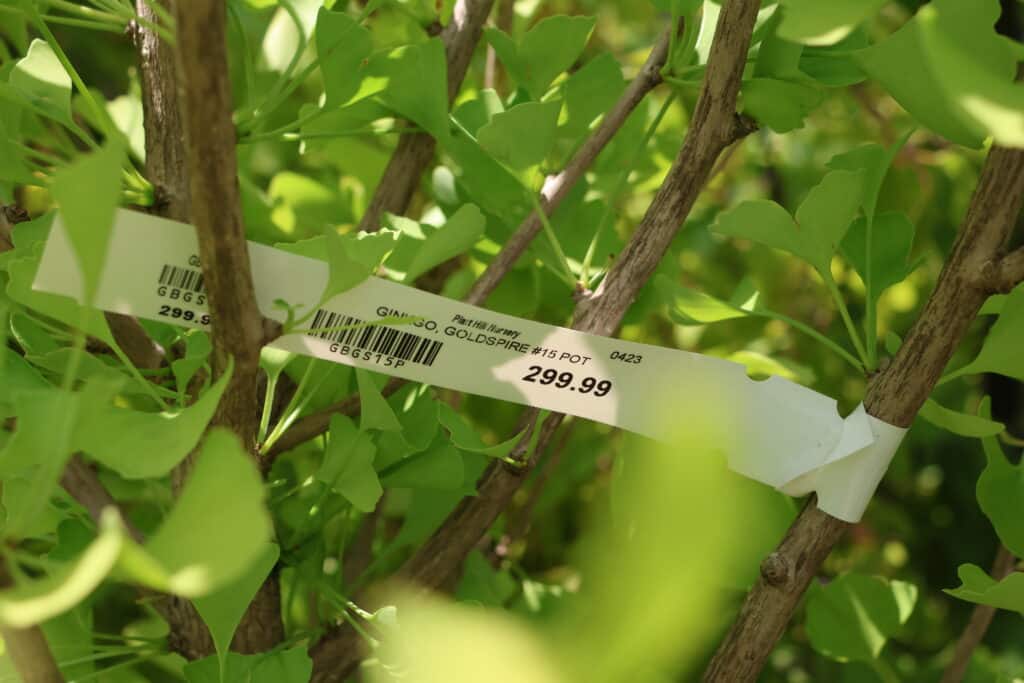 Tree Nursery Price Tags