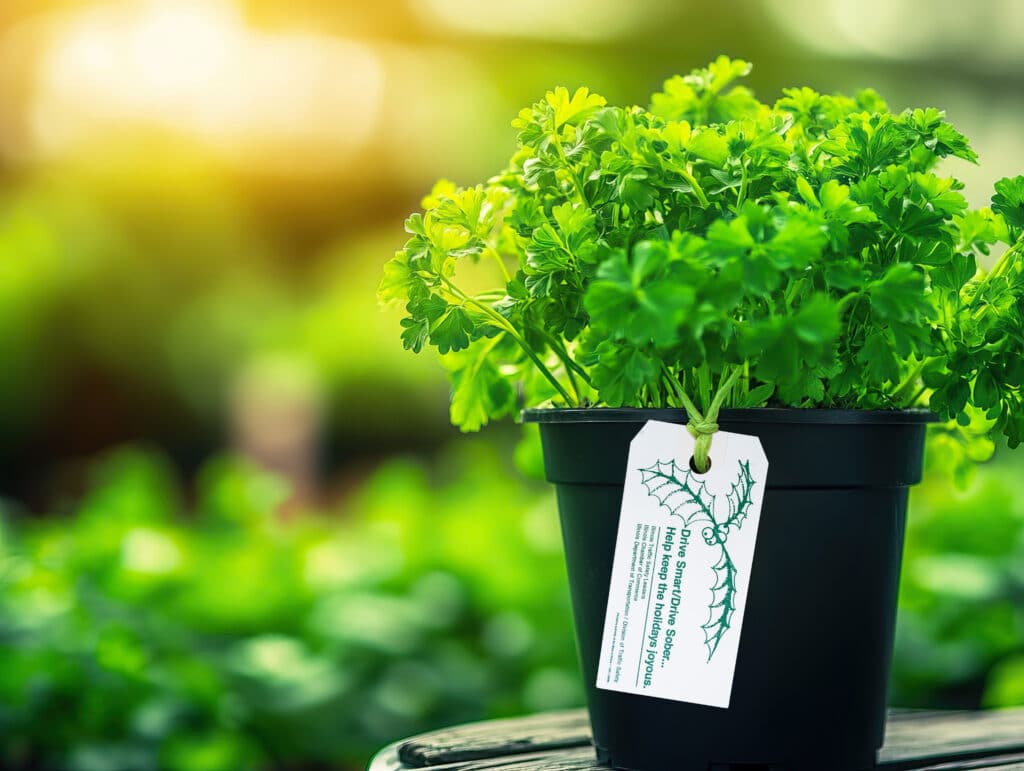 Retail Plant Tags